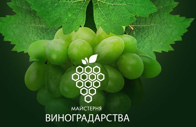 Майстерня виноградарства