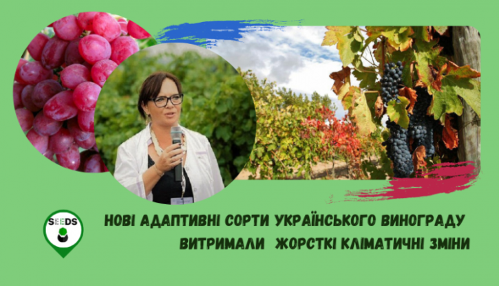 Интервью-Ковалёва