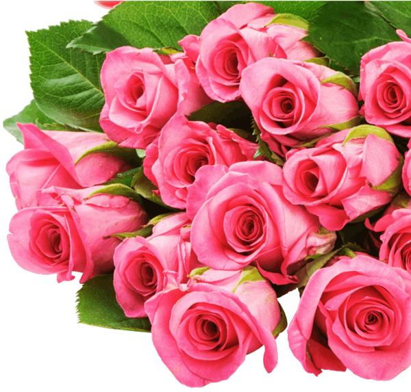 Vitannja_dissertantam