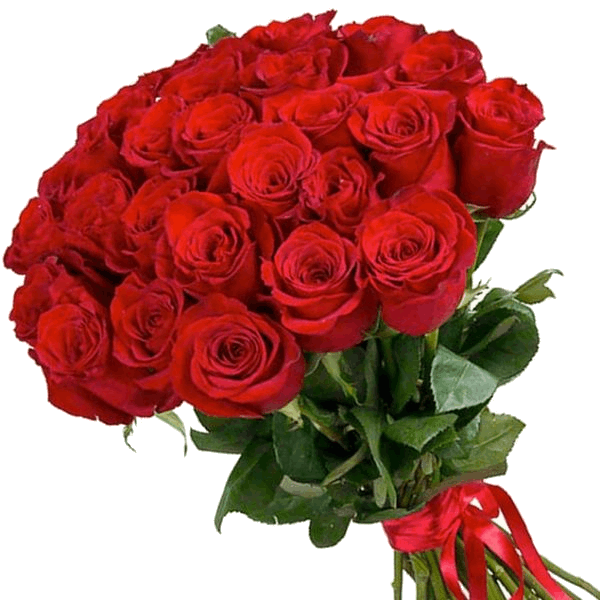 Vitannja_dissertantam2