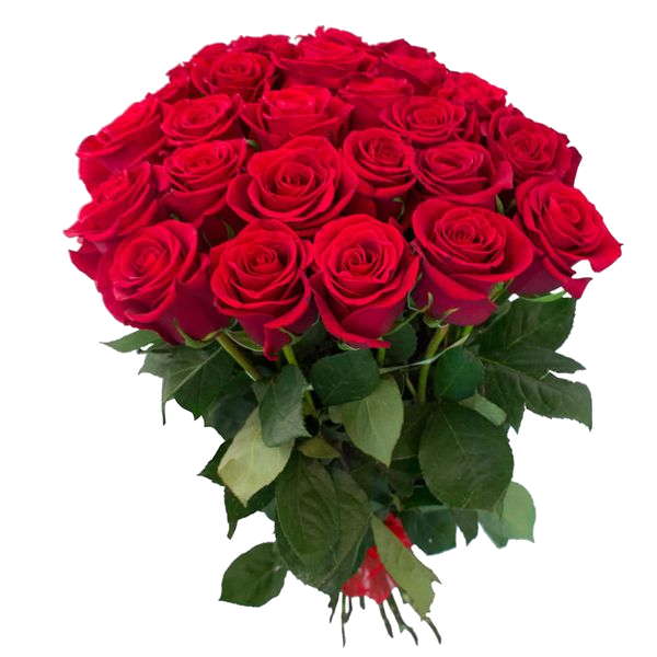 Vitannja_dissertantam3