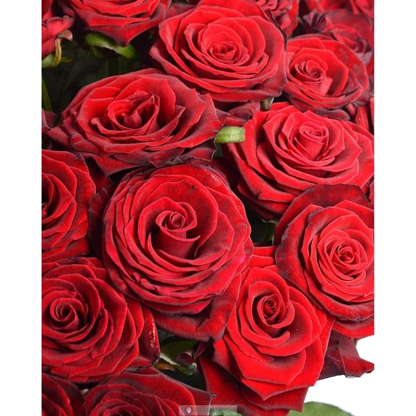 Vitannja_dissertantam4