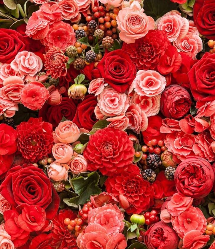 Дион_навсегда