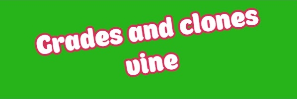 Grades and clones vine