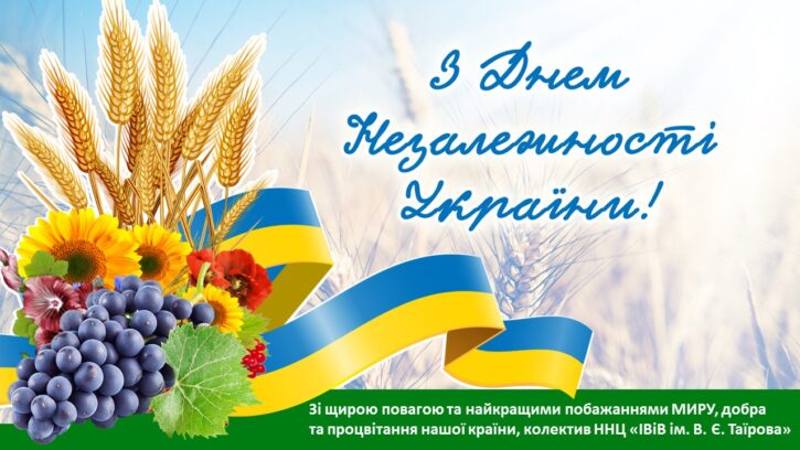 З днем Незалежності України 2022
