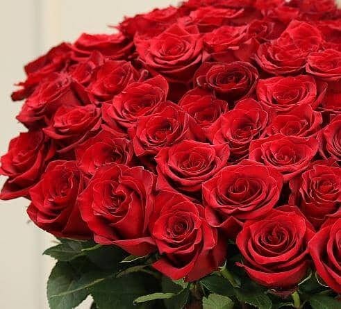 331784114_551859356925329_876544658419248597_n