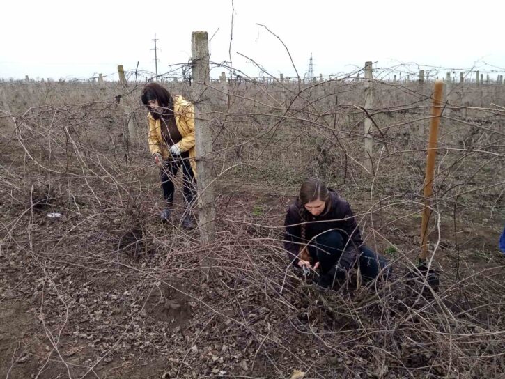 337276959_874827110281100_1619402380100733164_n