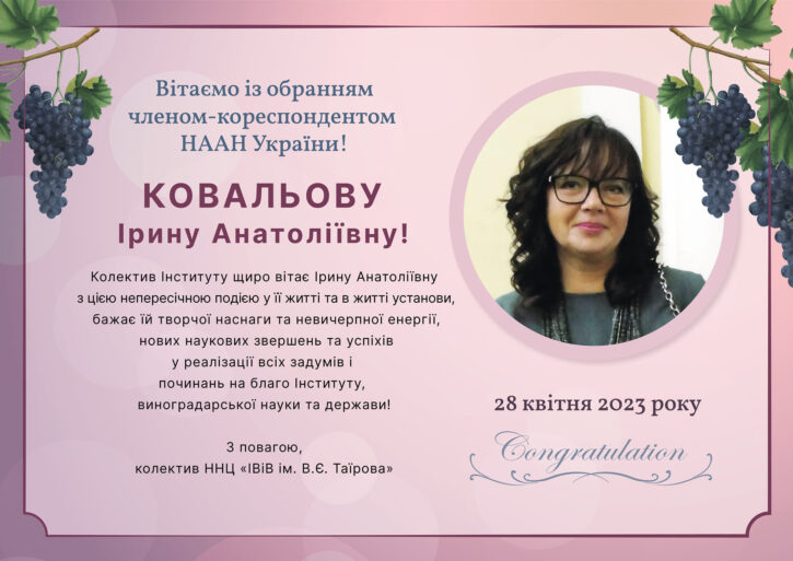 343961207_252273724000204_7770016580635790358_n