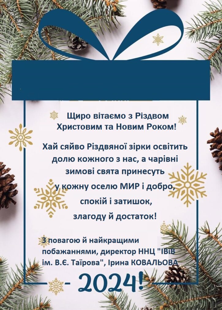 З Новим 2024 Роком