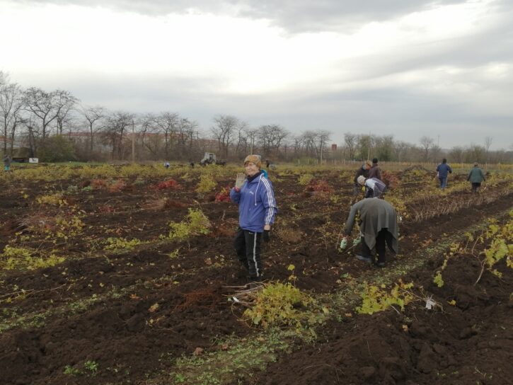 587464028_1252241723615722_7799359586150626534_n